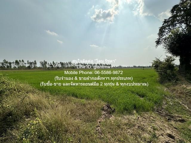 ที่ดิน //ต่ำกว่าราคาประเมิน//ขายที่ดินทุ่งนาข้าว อ.นครหลวง จ.พระนครศรีอยุธยา 17-0-76 ไร่ ราคา 3 ล้านบาท 3000000 BAHT พื้ 5