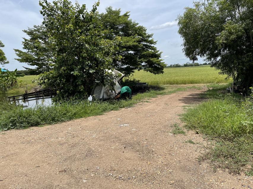 บางกระสั้น บางปะอิน  พระนครศรีอยุธยา 7