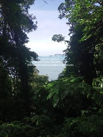 พื้นที่ดิน ขายที่ดินสวนป่า บนเนินไหล่เขา วิวทะเล (Seaview) เกาะสิเหร่ ภูเก็ต 5-0-48.7 ไร่ (ห่างชายทะเล 100 ม.), ราคา 76, 4
