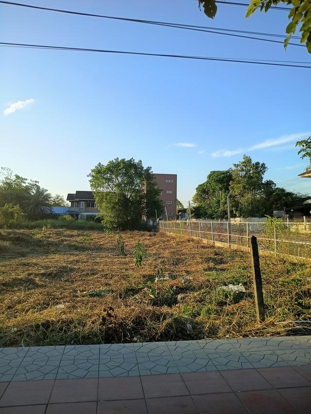 ที่ดินเปล่าหนองจอก กรุงเทพ 7