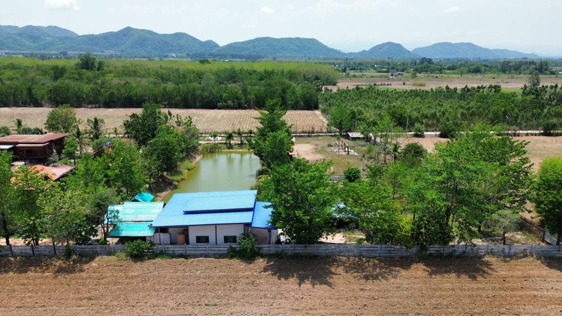 ที่ดินพร้อมบ้าน 1