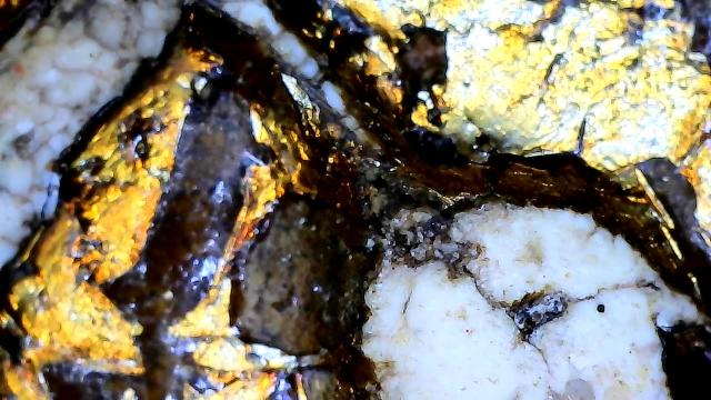 พระสมเด็จโตลงรักปิดทอง รูปที่ 3