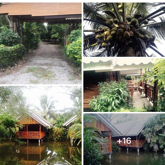 รูป ขายที่ดินพร้อมบ้านและสวน
