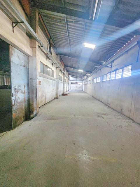 รถเทเลอร์ 18 ล้อเข้าได้ ให้เช่าโกดังพร้อมสำนักงาน 220 ตร.ม. ถ.สุขสวัสดิ์ 64-74 ประชาอุทิศ-บางครุ พระประแดง 3