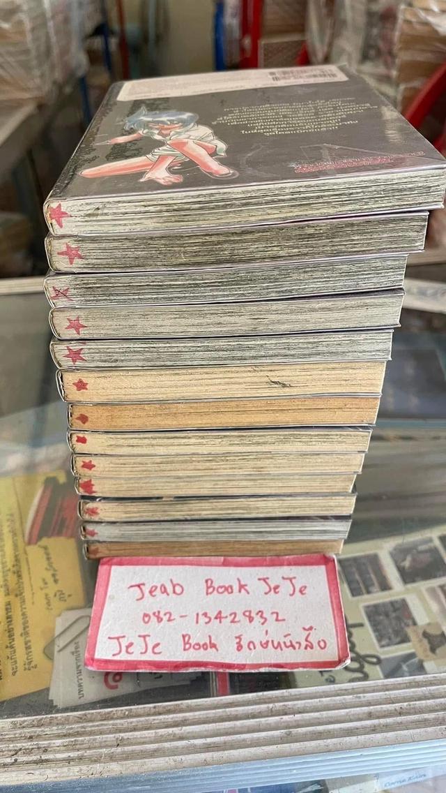 หนังสือการ์ตูน มังกรหายนะ ภาค 1 1-8 จบ ภาค 2 1-5 (เล่มปัจจุบัน)  8