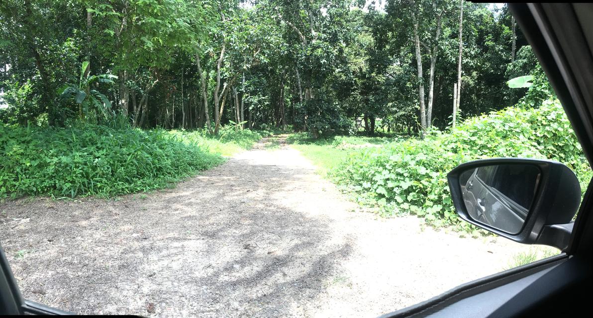 ขายที่ดินหนองขาม ศรีราชา ชลบุรี เนื้อที่ 9-1-84ไร่ หน้ากว้าง 90เมตร ลึก 180เมตร ที่ดินพื้นที่สีเหลืองอ่อน ผังเมือง EEC ใกล้นิคมปิ่นทอง3 5