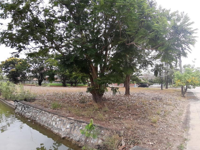 ⛳ เหมาะสำหรับปลูกสร้างบ้าน 🏡ในโครงการหมู่บ้านเดอะลากูน1 อำเภอสามโคก จังหวัดปทุมธานี ติดละเลสาป 7