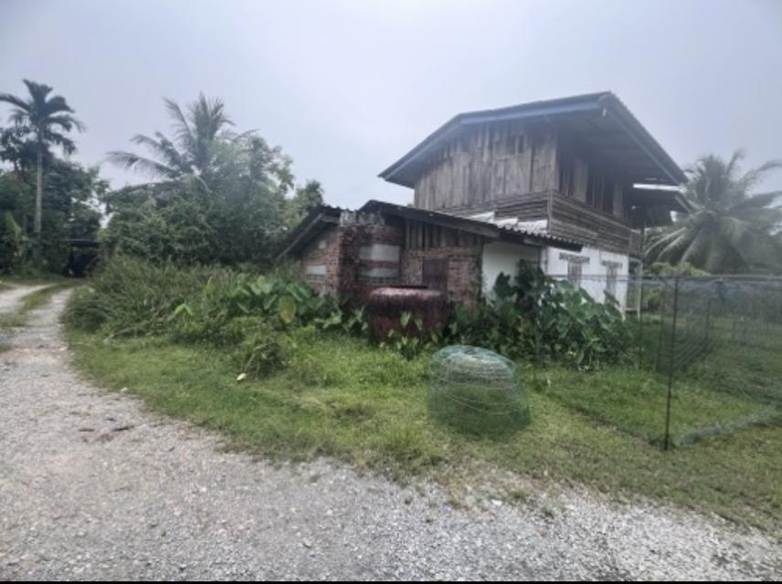 บ้านเดี่ยวพร้อมที่ดิน 12