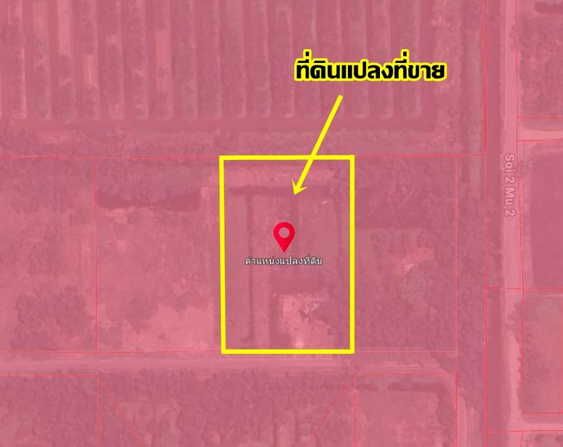 ขายที่ดินเปล่า คลอง10 หนองเสือ ใกล้อบต.บึงกาสาม 6