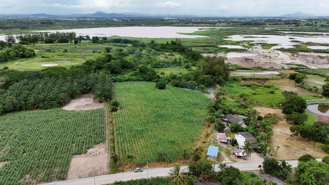 ขายที่ดินคลองกิ่ว 4 ไร่ ติดถนนคอนกรีตติดอ่างเก็บน้ำหนองน้ำเขียว ใกล้เทศบาลบ้านบึง-4กม. อ.บ้านบึง ชลบุรี