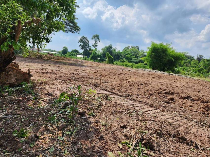 ที่ดินติดแม่น้ำนครนายก 13