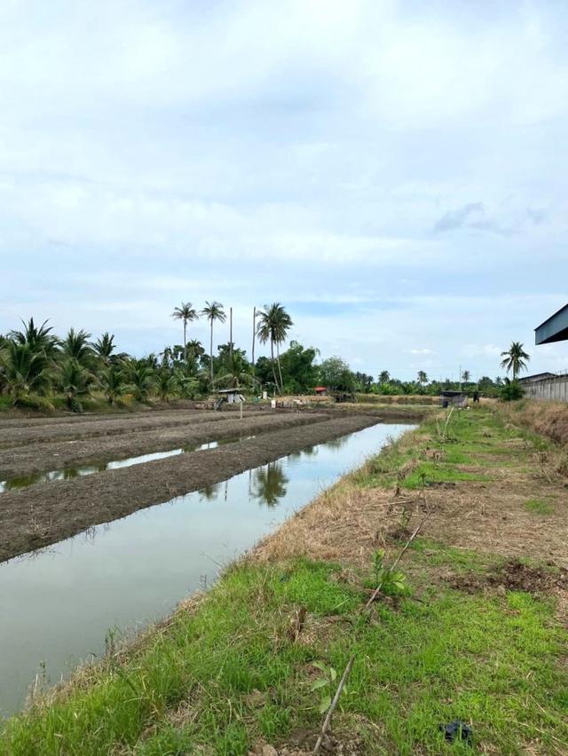 ขายที่ดินเปล่า 8 ไร่ 1 งาน 15 ตร.วา ติดถนนเส้น 375 นครปฐม - ดอนตูม 5