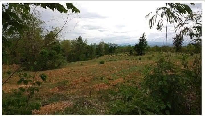 ที่รอออกเอกสารสิทธิ์15ไร่ ยกแปลง800,000วิวเขาติดถนนสาธารณะ รถเก๋งขับเข้าถึงที่ได้เลย ลักษณะที่เป็นเนินสโลบสวยมากค่ะ ติดกับวัดป่านิสโภ(มีลำห้วยกั้น) ห่ 4