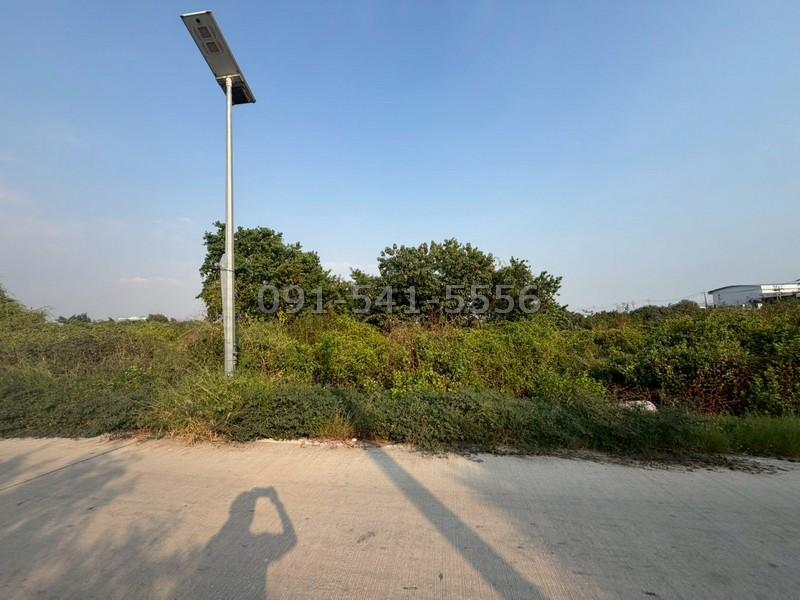 ขายที่ดิน 2 แปลงติดกัน 10 ไร่ ริมถนน ซอยประชาอุทิศ 90 สมุทรปราการ ที่ดินผืนใหญ่ แปลงสวย ทำเลศักยภาพ 1