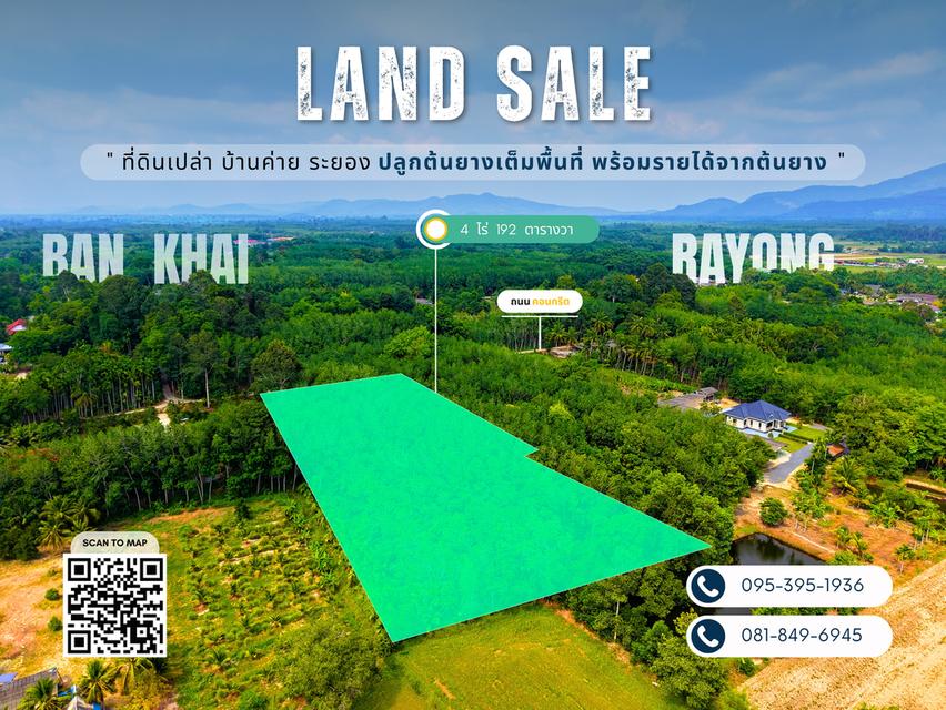ขายที่ดิน อ.บ้านค่าย จ.ระยอง - 4 ไร่ 1 งาน 92.3 ตารางวา 1