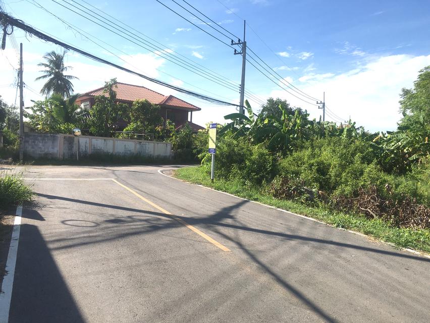 ขายที่ดินในเมืองโคราช 16ไร่ใกล้ถนนสุร2ใกล้หมู่บ้านจัดสรรหลายโครงการ ที่ดินติดถนนถนน2ด้าน หน้ากว้าง 190เมตร ห่างจากถนนบายพาสเพียง 400เมตร 1