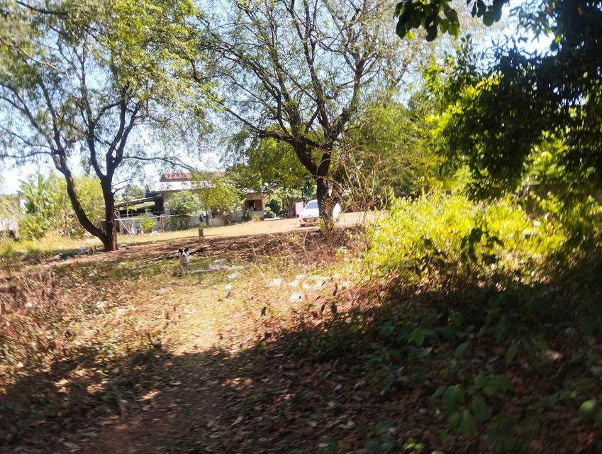 ที่ดิน 1 ไร่ 28 ตร.วบ้านนาสมดีอำเภอเมืองนครพนม 9