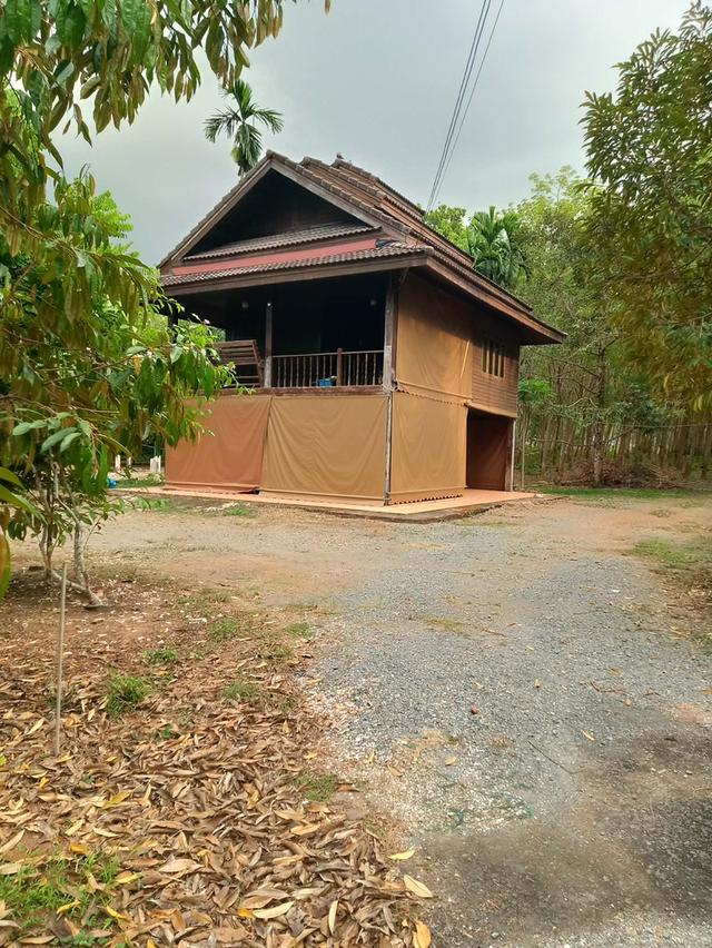 ขายที่ดิน 💥มีสวนผลไม้,สวนยาง,บ้านเรือนไทย 7