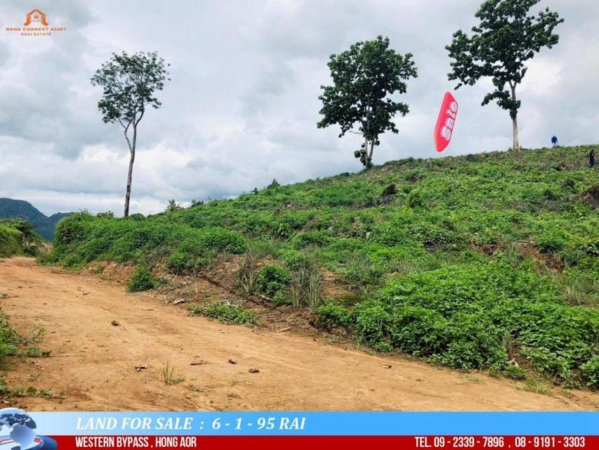 ขายที่ดินสวยเนินดอย พื้นที่ 6-1-95 ไร่ วิวภูเขา 360° ติดถนนบายพาสตะวันออก ฮ่องฮ้อ อ.เมืองเชียงราย 13