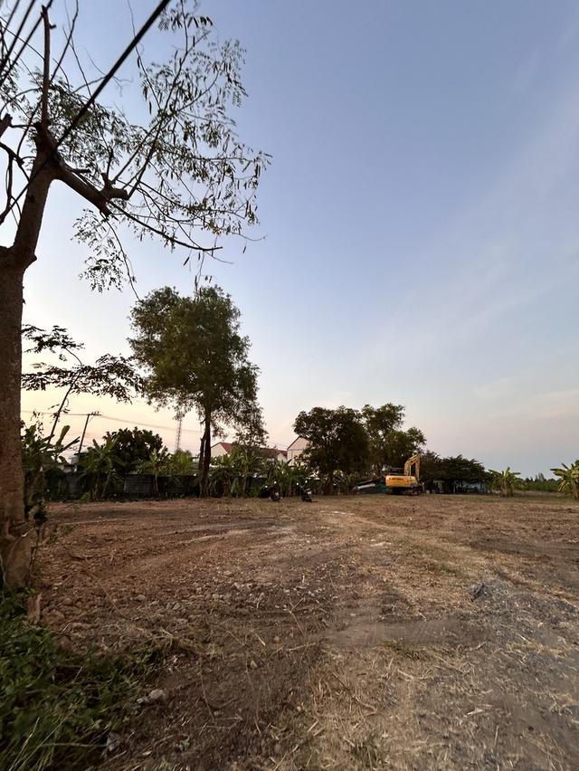 ให้เช่าที่ดินกรุงเทพหนองจอก 4