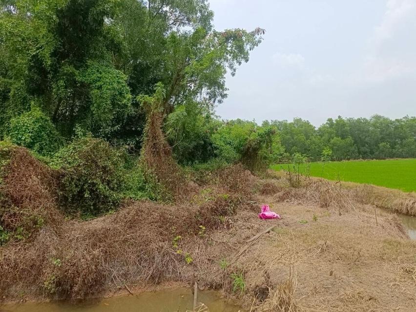 ที่ดินจังหวัดปทุมธานี ประตูน้ำพระอินทร์ คลอง 3 6