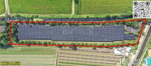 ซื้อทำกำไร + สร้างมูลค่าเพิ่มได้มากกว่าเท่าตัว กับที่ 6 ไร่เศษ ใกล้โครงการถนนตัดใหม่กัลปพฤกษ์ – พุทธสาคร - KK5415S 3