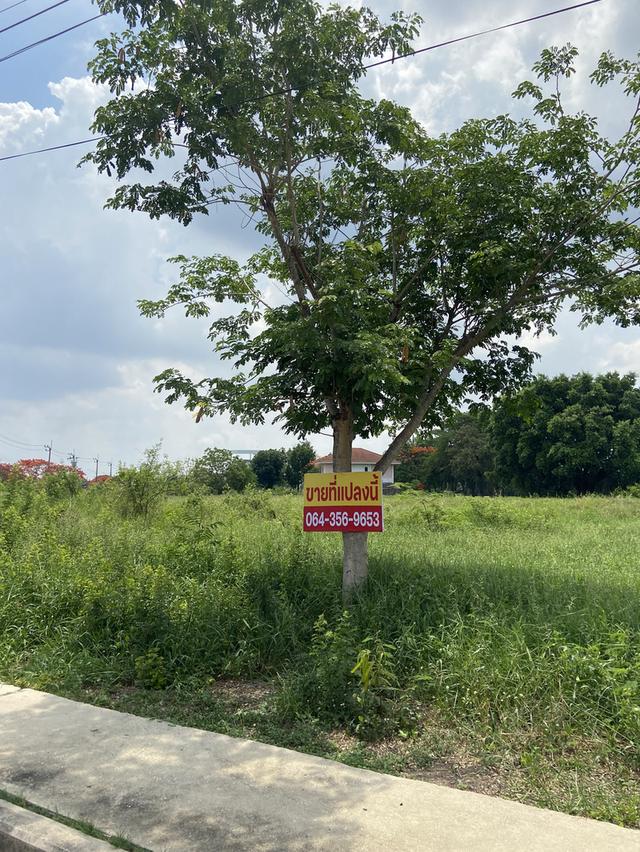 ที่ดิน 1 ไร่  ในสนามกอล์ฟ 8