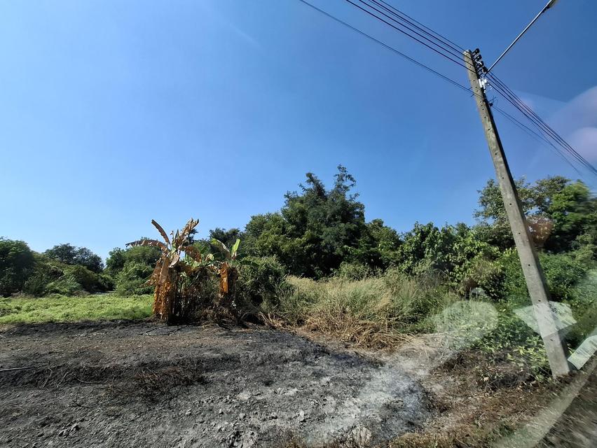 ที่ดินเปล่า 2 แปลงติดกัน หน้าติดถนนซอยบ้านดอนแต้วพัฒนา ต.พิกุลออก อ.บ้านนา จ.นครนายก 7