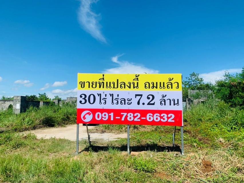 ขายที่ดินถมแล้ว 31 ไร่ ไร่ละ 7.2 ล้านบาท ใกล้หาดจอมเทียน ต.ห้วยใหญ่ อ.บางละมุง ชลบุรี  1