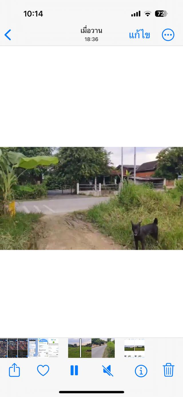 ที่ดินเปล่า