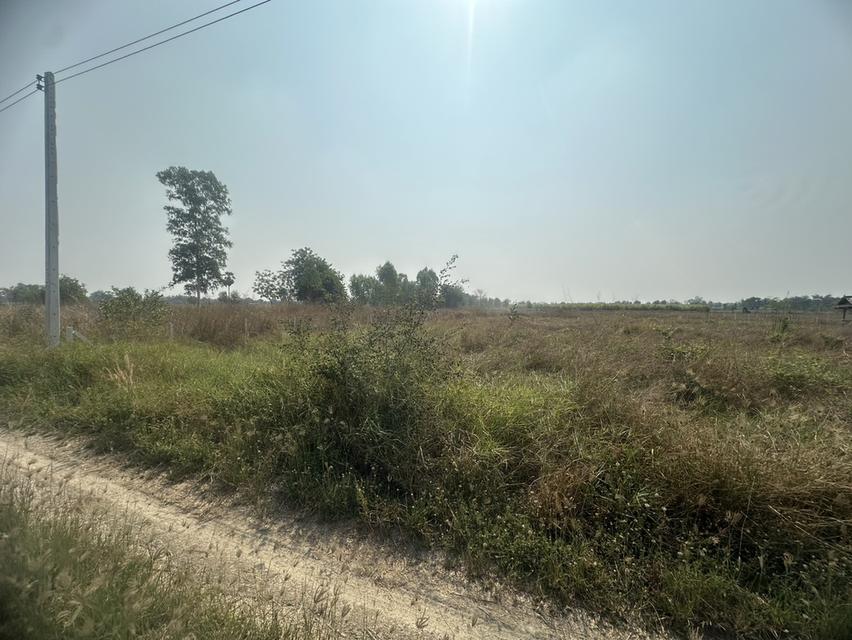 ที่ดิน 1ไร่ อำเภอหนองหญ้าไซ สุพรรณ 5