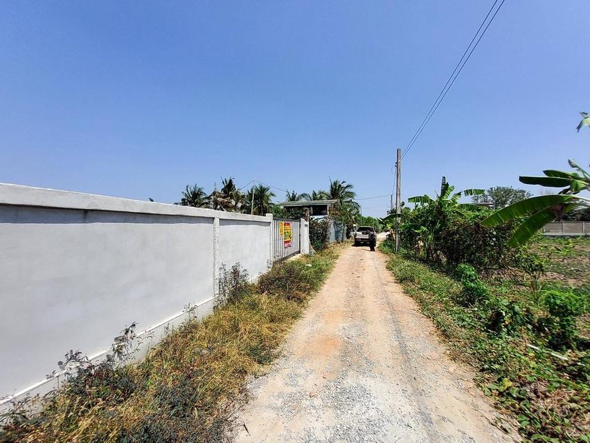 ขายด่วนที่ดินคลองโต๊ะใหม่ 100 ตรว ล้อมรั้วและทำกำแพงไว้แล้ว อ.บางบัวทอง จ.นนทบุรี 5