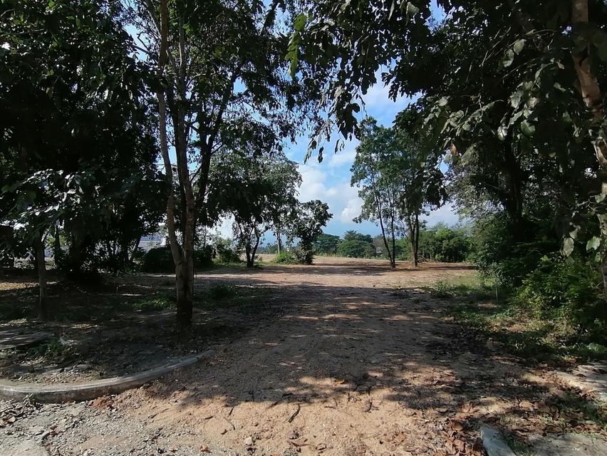 ที่ดินสวยติดแม่น้ำปิง จ.ลำพูน 13