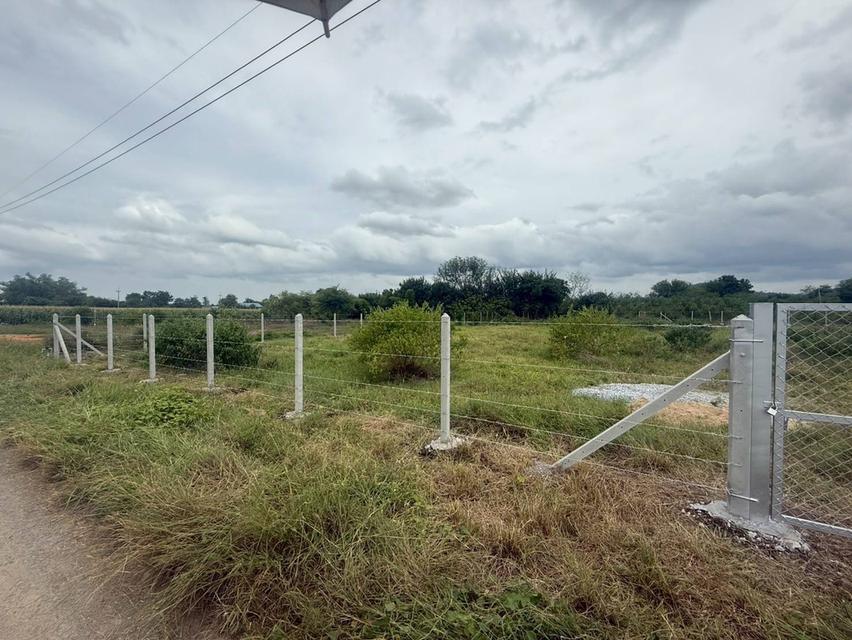 ที่ดินจำนวน 1 ไร่ อู่ทอง สุพรรณบุรี 6