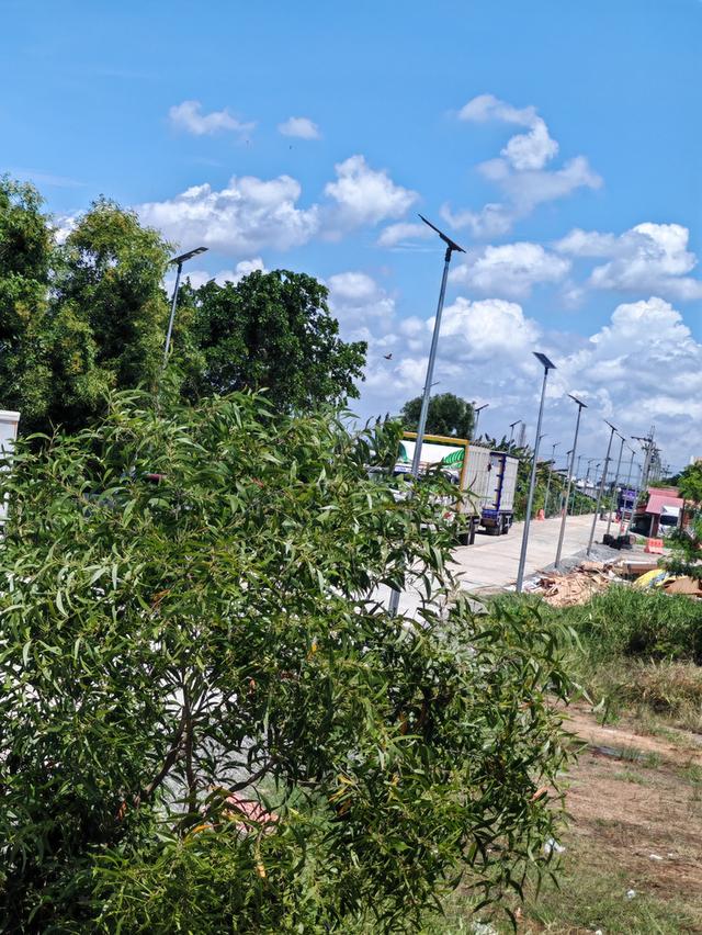 ขายที่ดิน2ไร่อยู่บ้านระกาศ​จังหวัดสมุทรปราการ​ 8