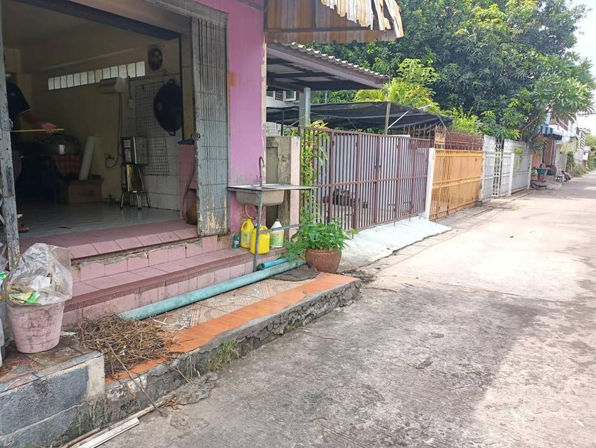 อาคารพาณิชย์ทำเลดีติดถนนสวนผัก 7