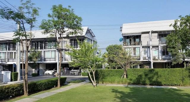 ให้เช่าทาน์โฮม 3 ชั้น 17.4 ตรว. อารียา เดลี่ เกษตร-นวมินทร์ ใกล้วัดลาดปลาเค้า พร้อมเฟอร์นิเจอร์ 1