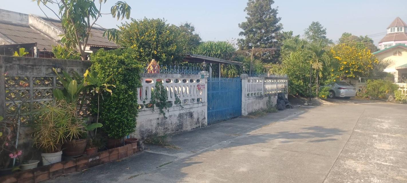 บ้านพร้อมที่ดิน อ.เมือง จ.นครราชสีมา 3