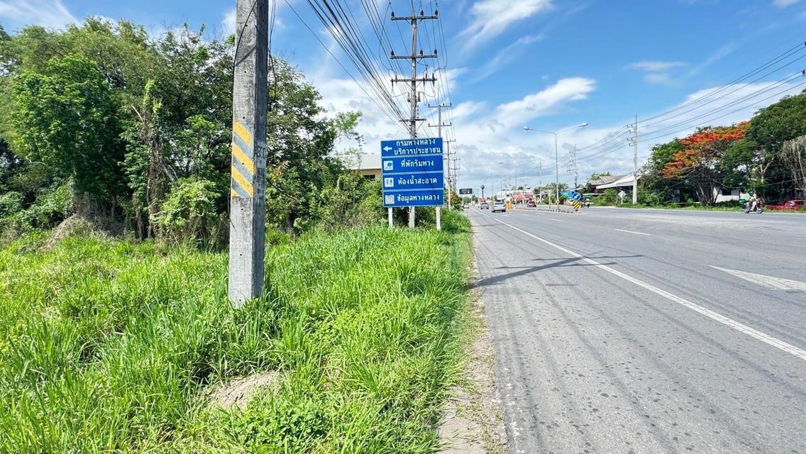 ที่ดิน ติด4เลน เชียงใหม่ สันป่าตอง 7