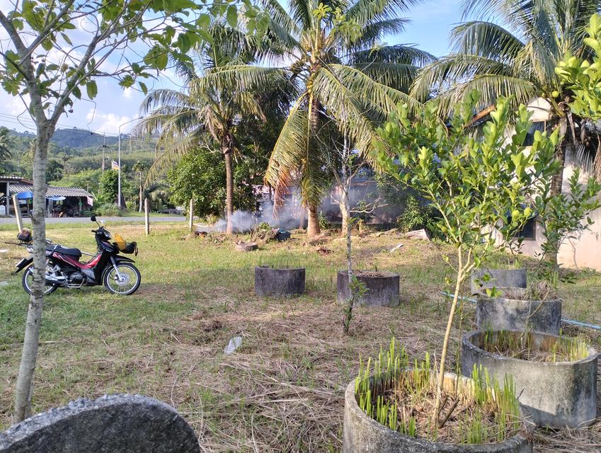 ที่ดินโฉนด 1ไร่ ตรงข้าม ทางเข้าน้ำตกกระโรม ติดกับกระโรมรีสอร์ท 5