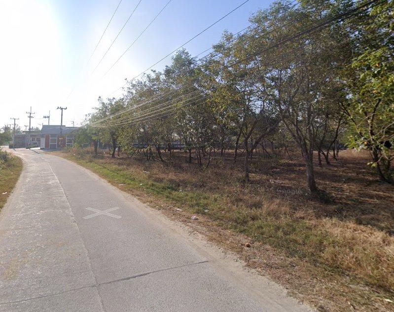 ขายที่ดินนามะตูม บ้านช้าง 1 ไร่ ซอยห้วยสูบ-หนองจอกติดถนน2ด้าน ใกล้แยกตลาดพนัสนิคม-3กม. อ.พนัสนิคม ชลบุรี