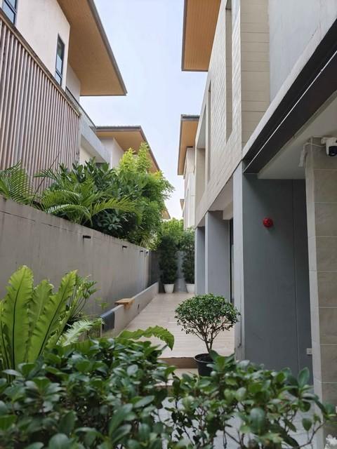 PP503 ขายบ้านเดี่ยว 3 ชั้น โครงการ เอคิว อาร์เบอร์ สวนหลวง ร.9-พัฒนาการ AQ ARBOR Suanluang Rama 9-Pattanakarn ซอยเฉลิมพระเกียรติ 48 4