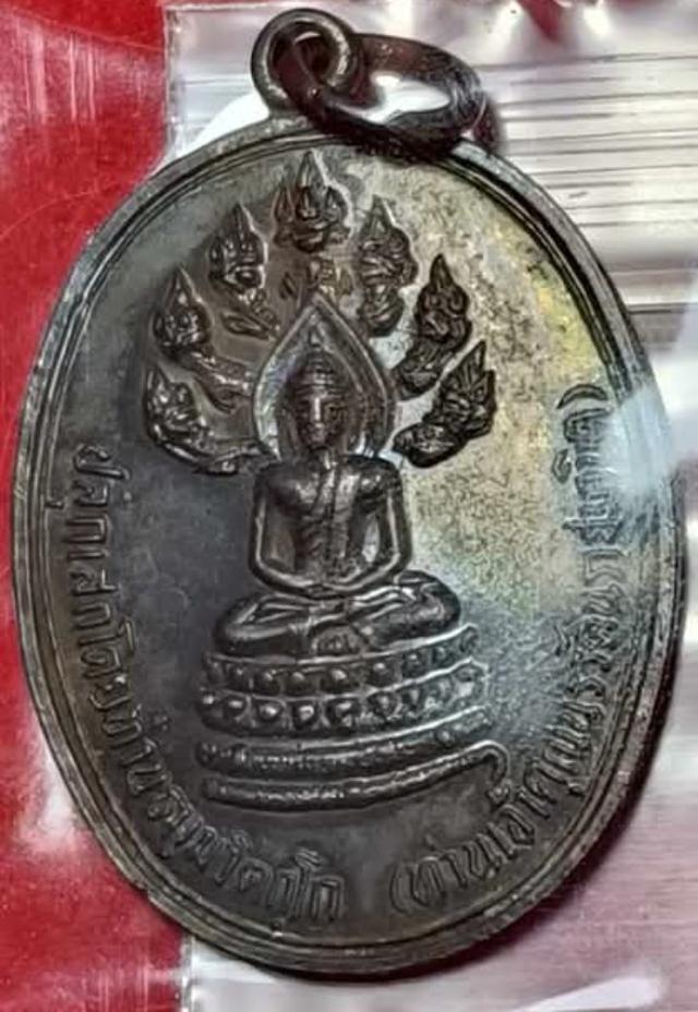 เหรียญพระนาคปรก จเรตำรวจ จัดสร้างปี 2513 โดย พล.ต.ท. ชนะ วงศ์ชอุ่ม อดีตจเรตำรวจ และปลุกเสกโดย ท่านเจ้าคุณนรรัตนราชมานิต วัดเทพศิรินทราวาส กรุงเทพฯ