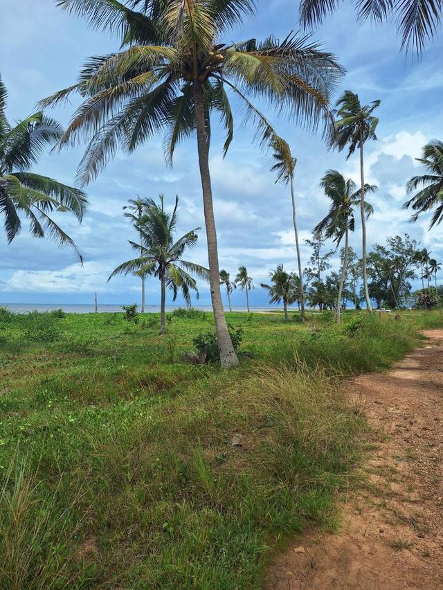 ที่ดิน หาดตะวันฉาย อ.ละแม จ.ชุมพร 5