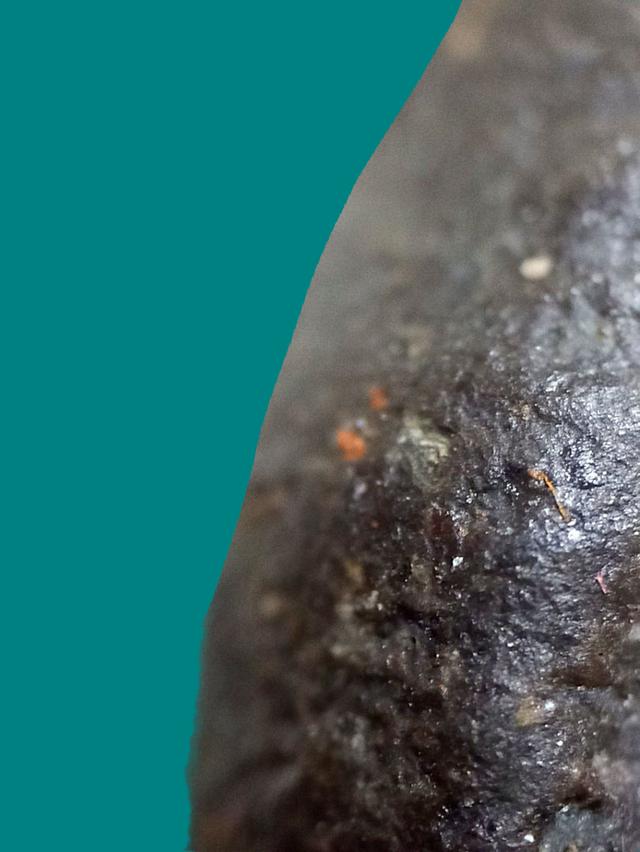 หลวงปู่ทวดเนื้อว่าน 97 พิมพ์พระรอด 6