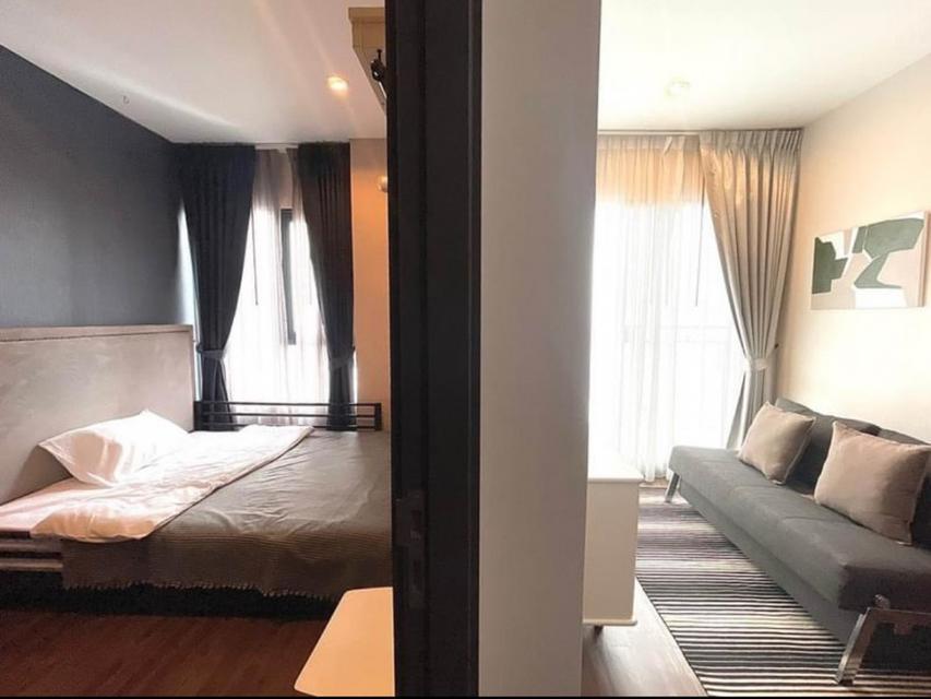 ปล่อยเช่าคอนโด C Ekkamai Condo ห้องสวย วิวสูง 1นอน 1น้ำ ชั้น 24  (พร้อมอยู่ 1 ธ.ค.68) ใกล้ BTS เอกมัย 4