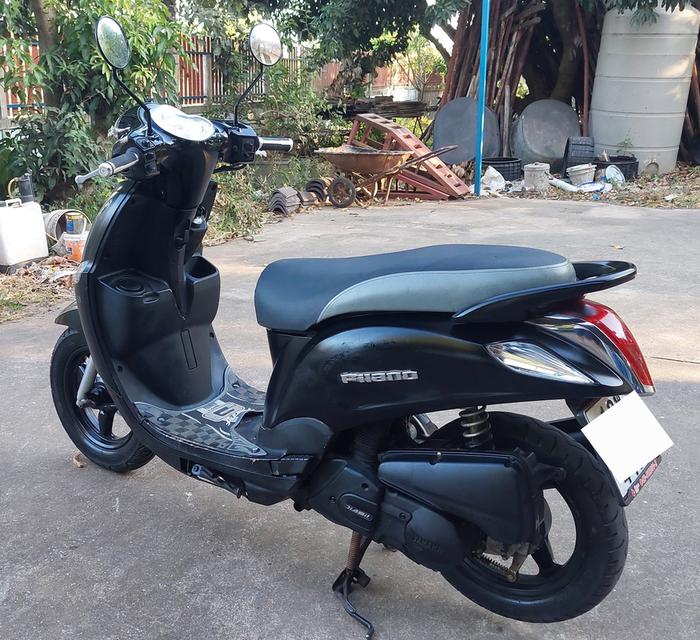 ฟีลาโน่ filano ฟีลาโน่