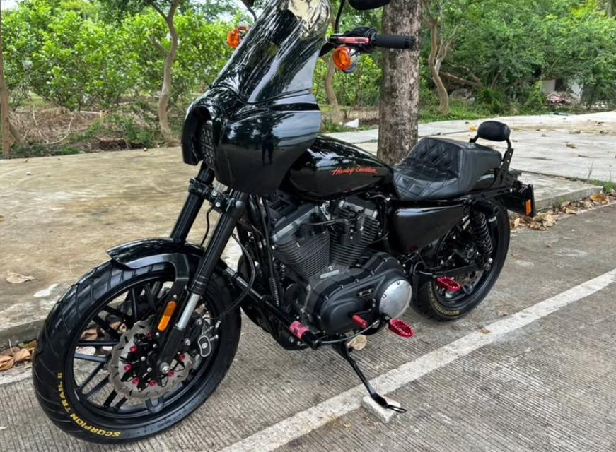 Harley Davidson Roadster ขายด่วน 2