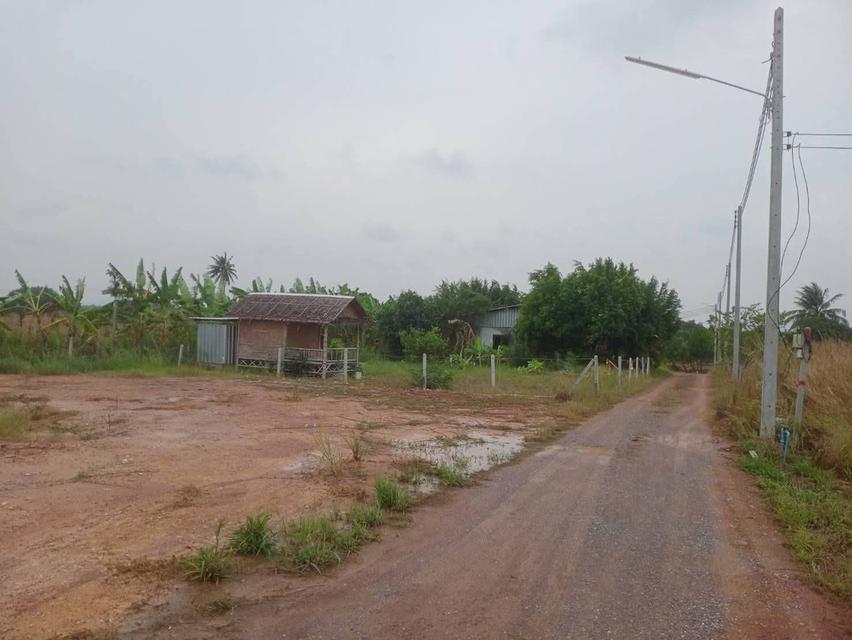 ที่ดิน100ตรว. 1