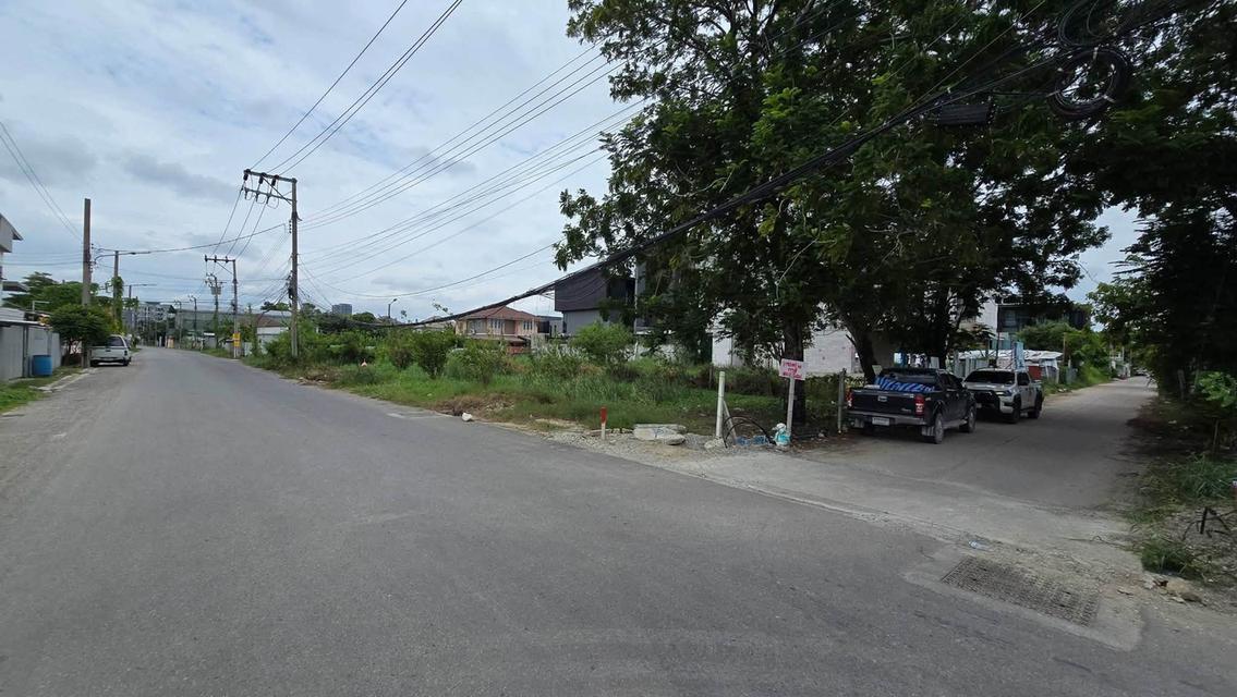 ขายด่วนที่ดินศรีด่าน 100 ตรว ติดถนนคอนกรีตสาธารณะ ซ.พัฒนาชุมชน 29 บางพลี สมุทรปราการ 5